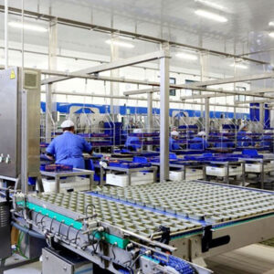 Water Reuse in Container Washing for the Agro-Food Industry in Eastern Spain