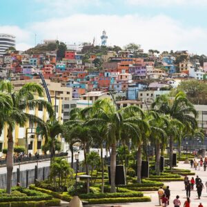 Aquifer Recovery for Resilient Aquaculture Production in the Coastal Strip of the Gulf of Guayaquil, Ecuador