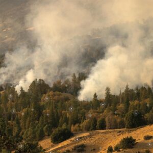 Forests that Replenish. Water Restoration and Fire Management in High-Risk Areas of Aragón, Spain