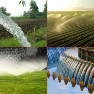 Potabilization and River Cleaning for Irrigation – Bioparques. Jalisco, Mexico