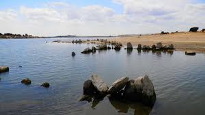 Integrated Biofiltration and Monitoring System for Agricultural Decontamination in Zamora