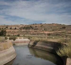 Constructed Wetlands and Smart Biofilters for Clean Water Restoration in EBRO. Les Garrigues, Spain