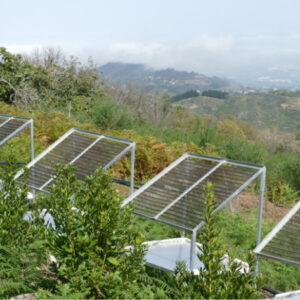 Atmospheric Water Farms. A Solution for the Rural Future. Ciudad Real. Spain