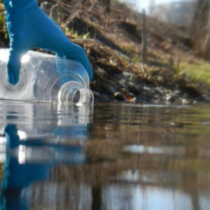 Carmen de Patagones WAVE well-water model project