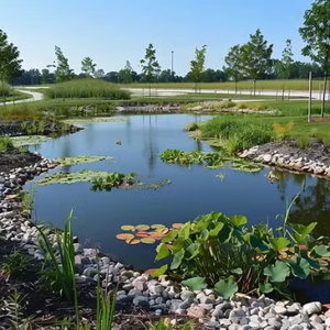 Dolores WAVE well-water model project