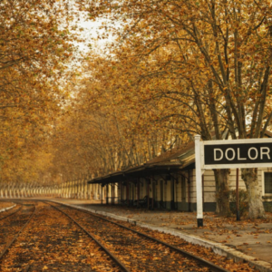 Dolores Non-Revenue Water Reduction & Infrastructure Efficiency Project