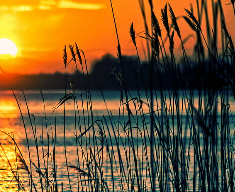 Las Flores WAVE well-water model project