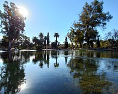 Pilar WAVE well-water model project