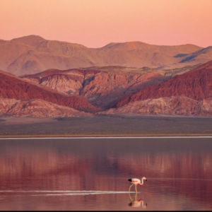 Roque Pérez WAVE well-water model project