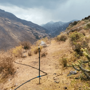 Sprinkler Irrigation Modernization for Agricultural Plots in the Santa Eulalia Sub-basin