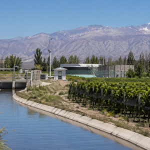 Pescara System Treatment and Safe Agricultural Reuse