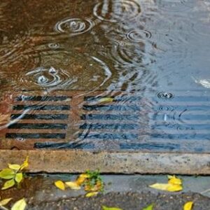 Sydney Cooks River & Alexandra Canal Stormwater Pollution Prevention