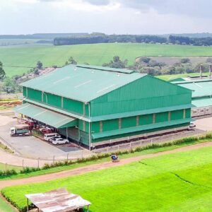 Advancing Sustainable Poultry Processing Through Wastewater Treatment Optimization at Kenchic Limited