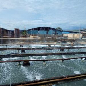 Improving Industrial Wastewater Treatment at Alpharama Leather Tannery to Protect the Athi River Basin