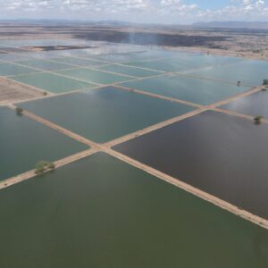 Improving Water Quality in the Chania River Through Wastewater Treatment Optimization at Thika Sewage Treatment Works
