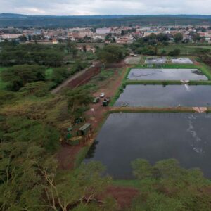 Enhancing Industrial Wastewater Treatment at Juja International Abattoir to Protect the Athi River Basin