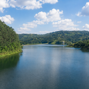 Nature-Based Biological Restoration of Paiva Castro Reservoir / Cantareira System – São Paulo, Brazil