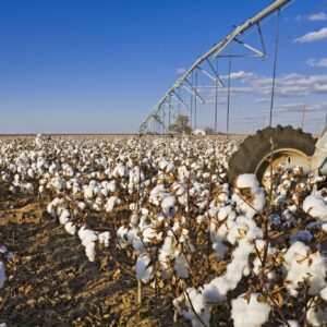 Smart Irrigation and Groundwater Resilience in Hale County