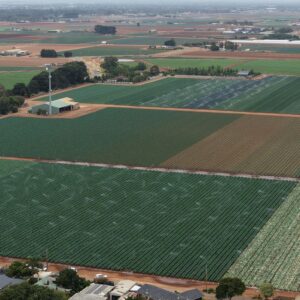 Reducing Irrigation Demand in Werribee’s Horticultural Region