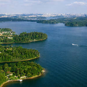 Nature-Based Biological Restoration of Billings Reservoir – São Paulo, Brazil