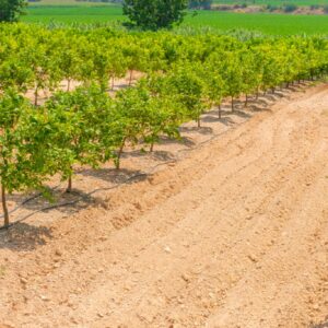 Reducing Agricultural Water Demand in Manavgat, Antalya