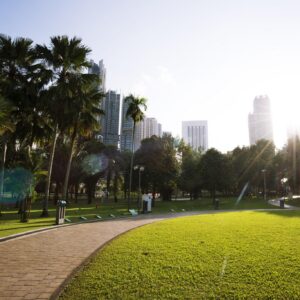 Optimizing Water Use across Singapore’s Urban Green Landscapes