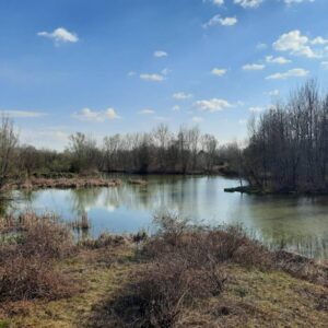 Groundwater-Dependent Habitat and Biodiversity Restoration at Fontanile Serbelloni, Olona Sub-basin, Italy