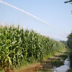 Improving Irrigation Water Efficiency in Maize Production in the Adda Sub-basin, Italy